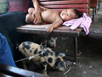 柬埔寨的火车之旅